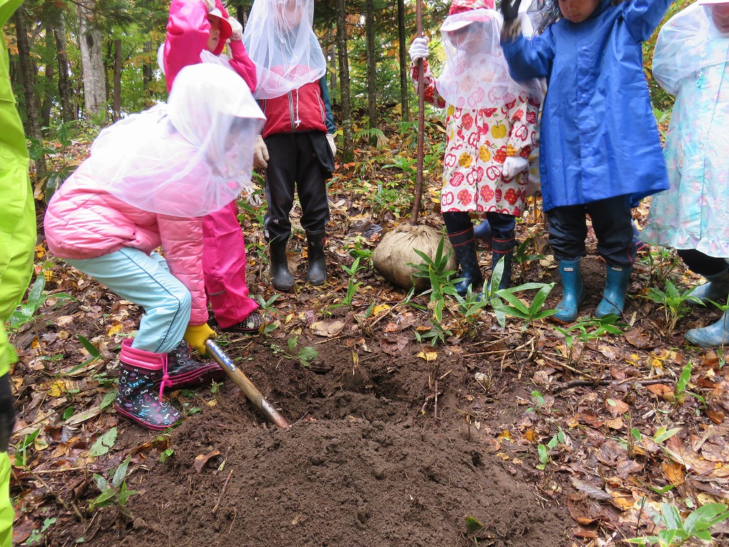 北海道札幌市「げんきの森づくりと森の学習活動」事業