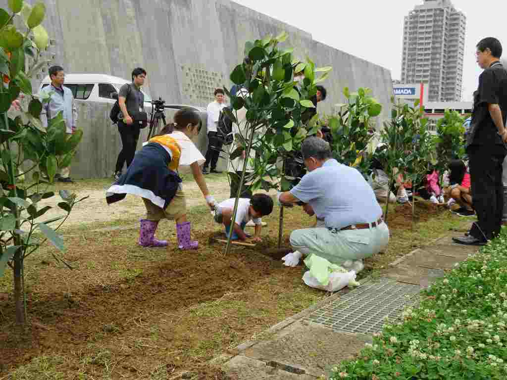 沖縄県那覇市新都心公園 第2回 福を呼ぶ「フクギのさんぽ道プロジェクト」