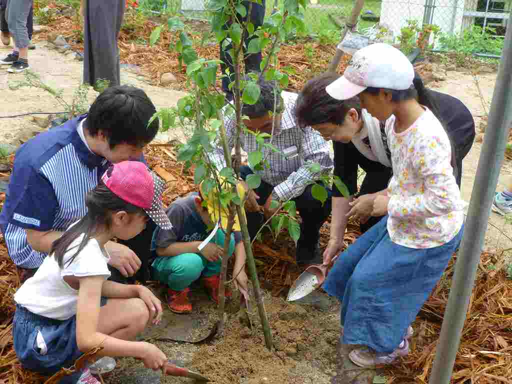 熊本県水俣市立久木野小学校