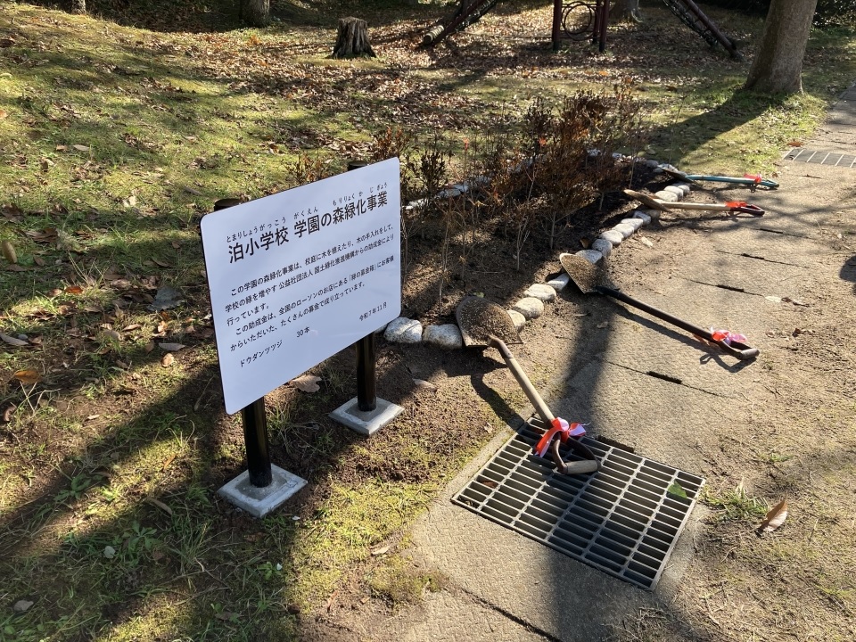 鳥取県湯梨浜町立泊小学校