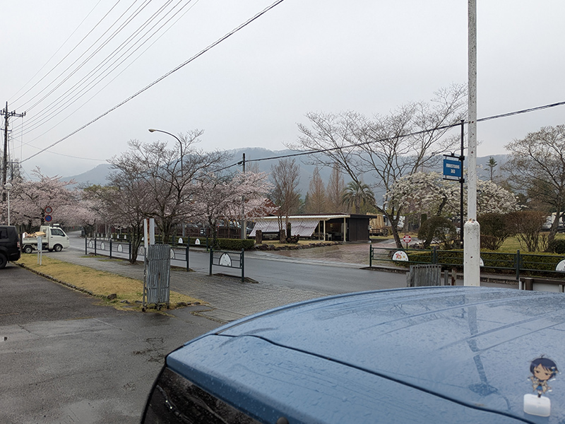 雨でもキャンプは楽しみたい