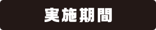 実施期間