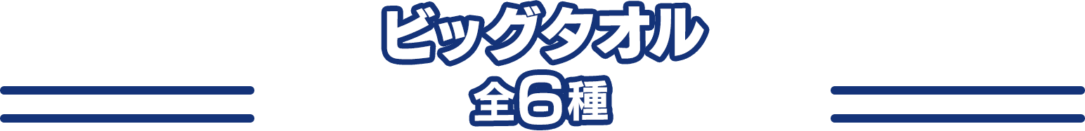 ビッグタオル 全6種