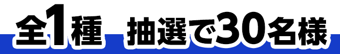 全1種 抽選で30名様
