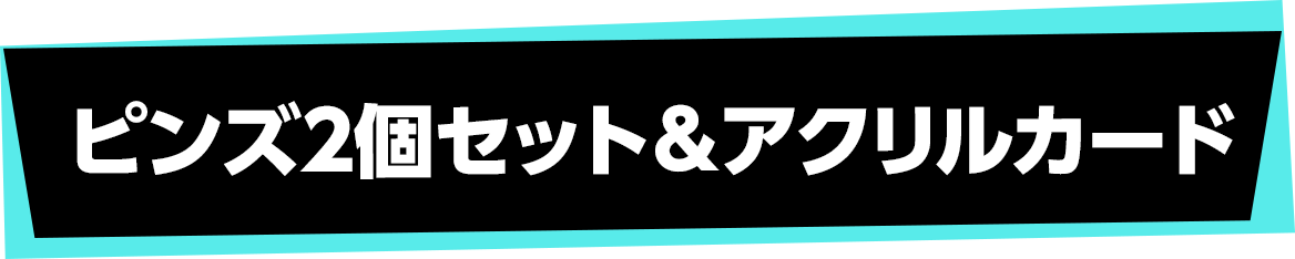 ピンズ2個セット＆アクリルカード