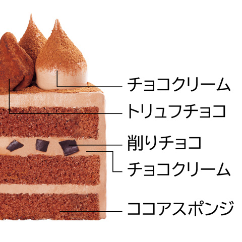 チョコレートのクリスマスケーキ 4号