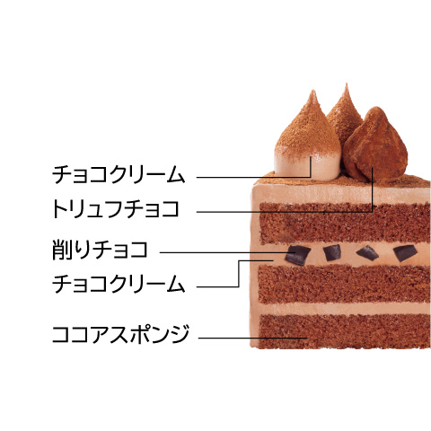 チョコレートのクリスマスケーキ ４号