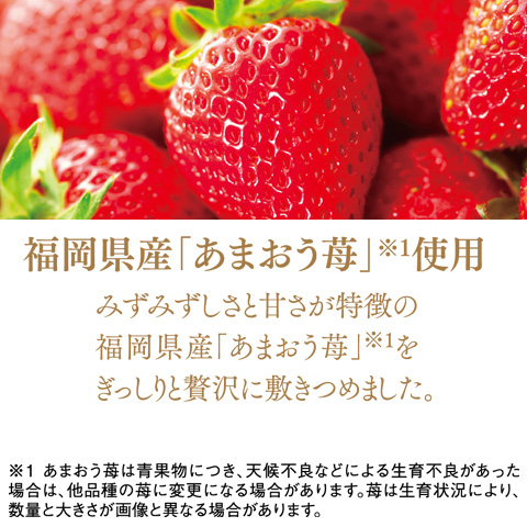 至福のストロベリークリスマス 6号
