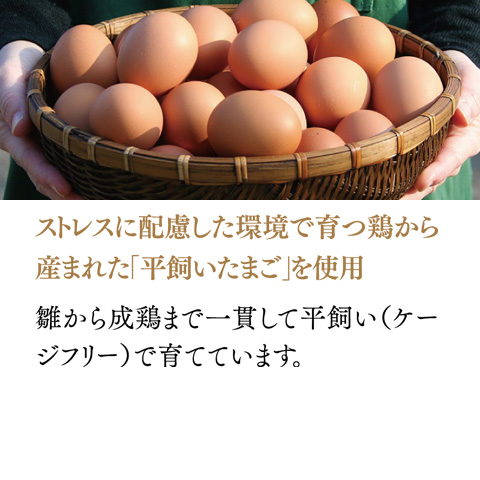 至福のストロベリークリスマス 6号