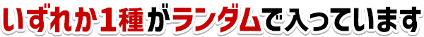 いずれか1種がランダムで入っています