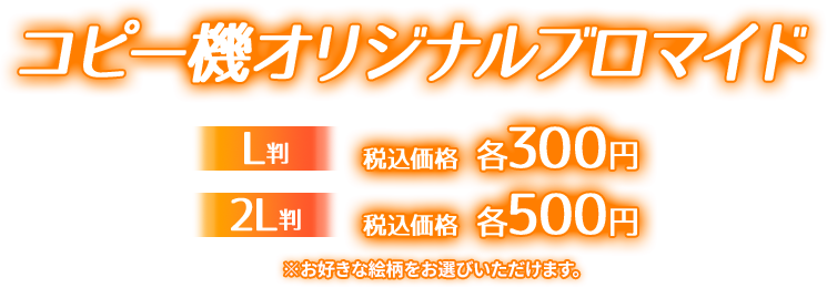 コピー機オリジナルブロマイド L判 税込価格 各300円 2L判 税込価格 各500円 ※お好きな絵柄をお選びいただけます。