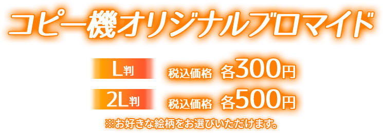 コピー機オリジナルブロマイド L判 税込価格 各300円 2L判 税込価格 各500円 ※お好きな絵柄をお選びいただけます。