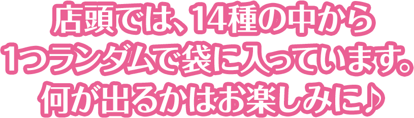 店頭では、14種の中から1つランダムで袋に入っています。何が出るかはお楽しみに♪