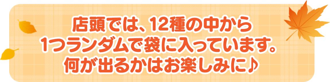 店頭では、12種の中から1つランダムで袋に入っています。何が出るかはお楽しみに♪