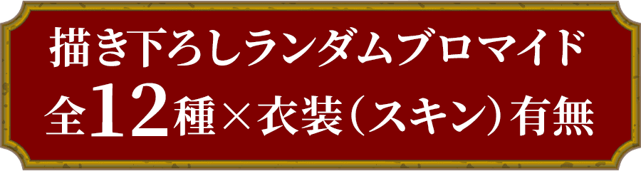 描き下ろしランダムブロマイド 全12種×衣装（スキン）有無