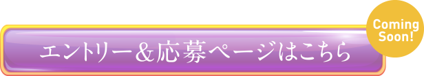 エントリー&応募ページはこちら