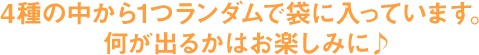 4種の中から1つランダムで袋に入っています。何が出るかはお楽しみに♪