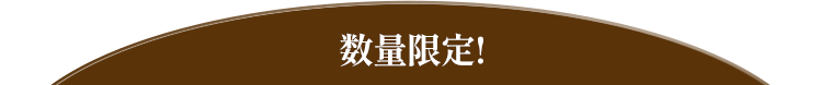 数量限定！