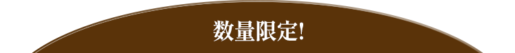 数量限定！