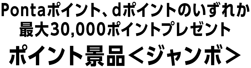 Pontaポイント、dポイントのいずれか 最大30,000ポイントプレゼント ポイント景品＜ジャンボ＞