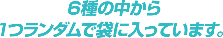 6種の中から1つランダムで袋に入っています。