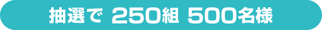 抽選で 250組 500名様