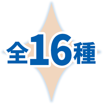 全16種