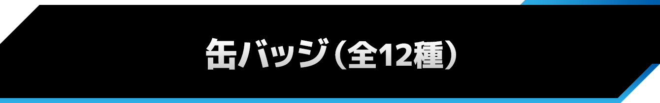 缶バッジ（全12種）