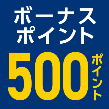 ボーナスポイント500ポイント