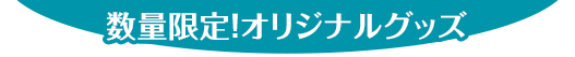 数量限定！オリジナルグッズ