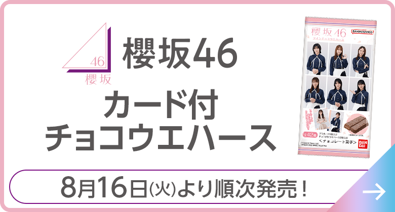 櫻坂46 カード付チョコウエハース