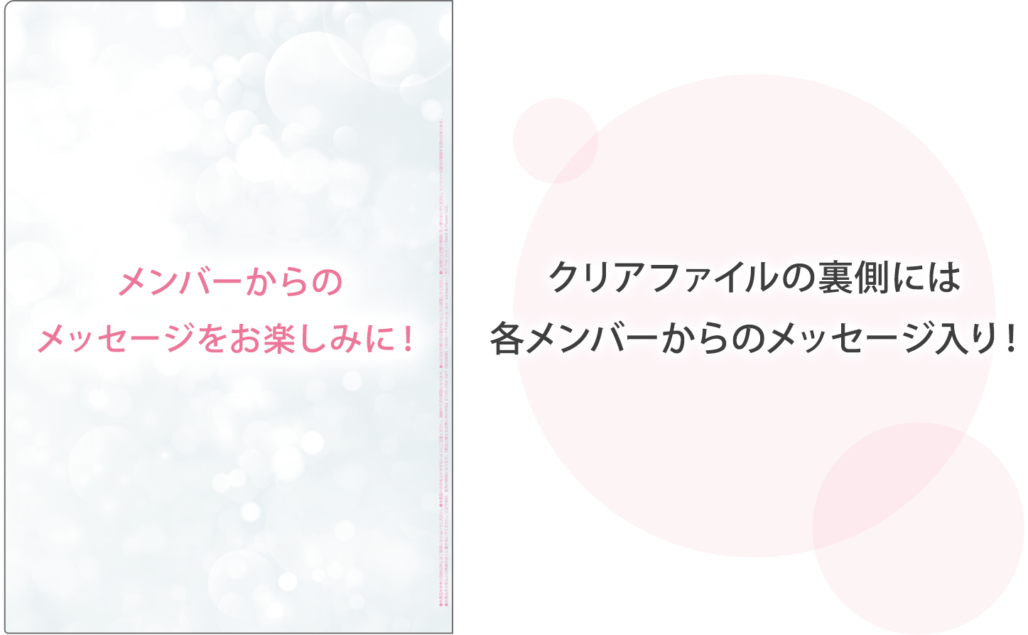 メンバーからのメッセージをお楽しみに！ クリアファイルの裏側には 各メンバーからのメッセージ入り！