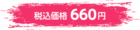 税込価格 660円