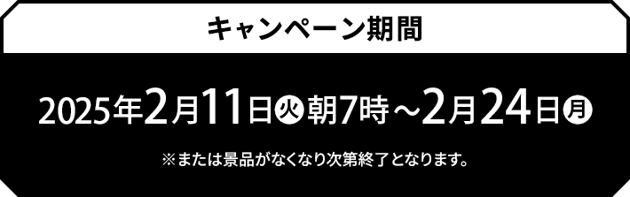 キャンペーン期間 2025年2月11日(火)朝7時〜2月24日(月) ※または景品がなくなり次第終了となります。
