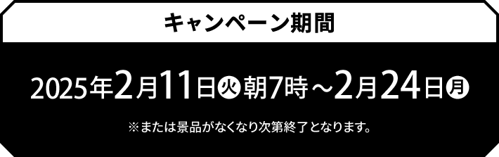 キャンペーン期間 2025年2月11日(火)朝7時〜2月24日(月) ※または景品がなくなり次第終了となります。