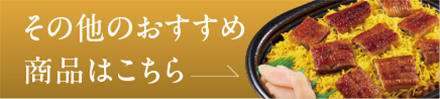 その他のおすすめ商品はこちら