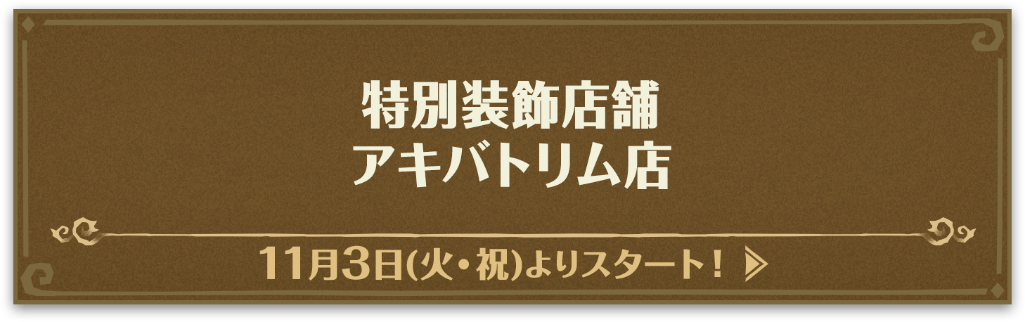 特別装飾店舗 アキバトリム店