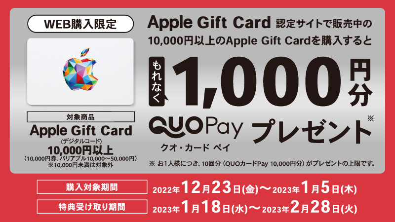 キャンペーンその2