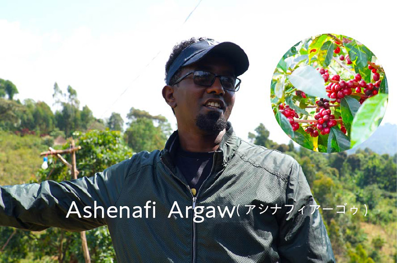 Ashenafi Argaw