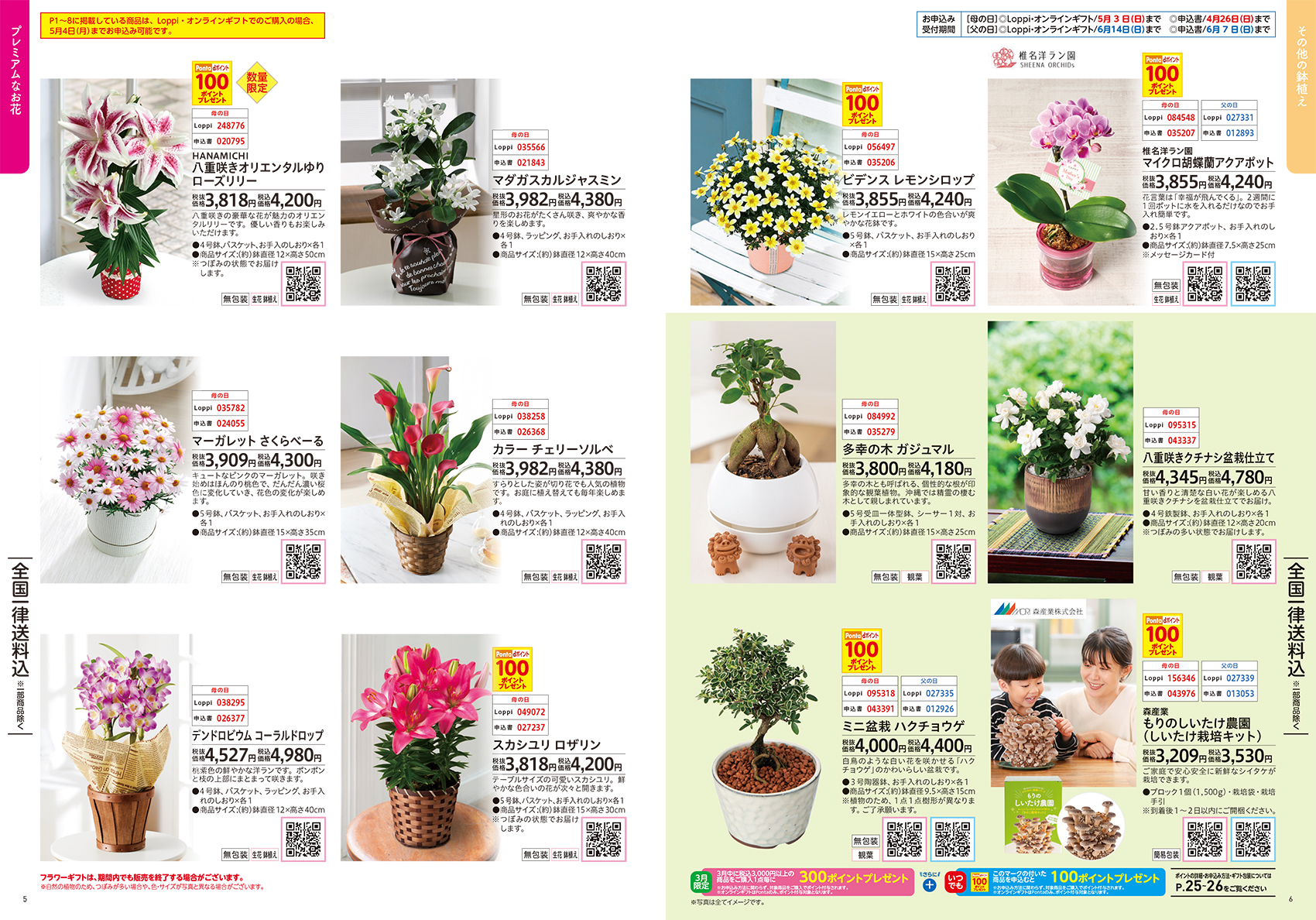 「2026 母の日・父の日ギフト」