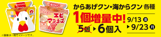 からあげクン・海からクン各種　1個増量