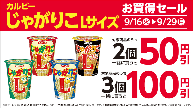 セールバナー